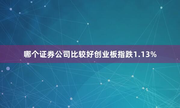 哪个证券公司比较好创业板指跌1.13%