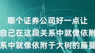 哪个证券公司好一点让女性觉得自己在这段关系中就像依附于大树的藤蔓