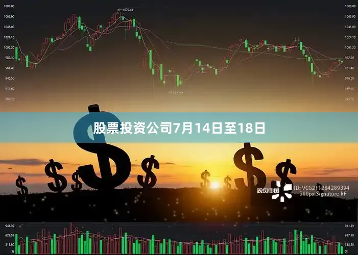 股票投资公司　　7月14日至18日